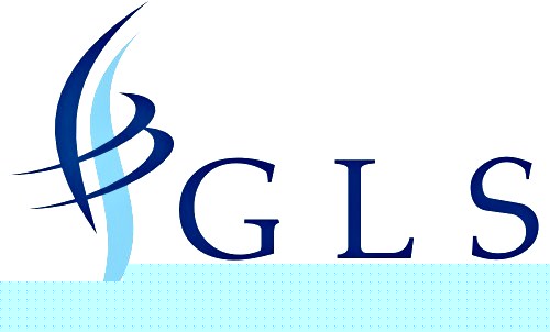 Ir a la página principal de grupo-lobo-seguros